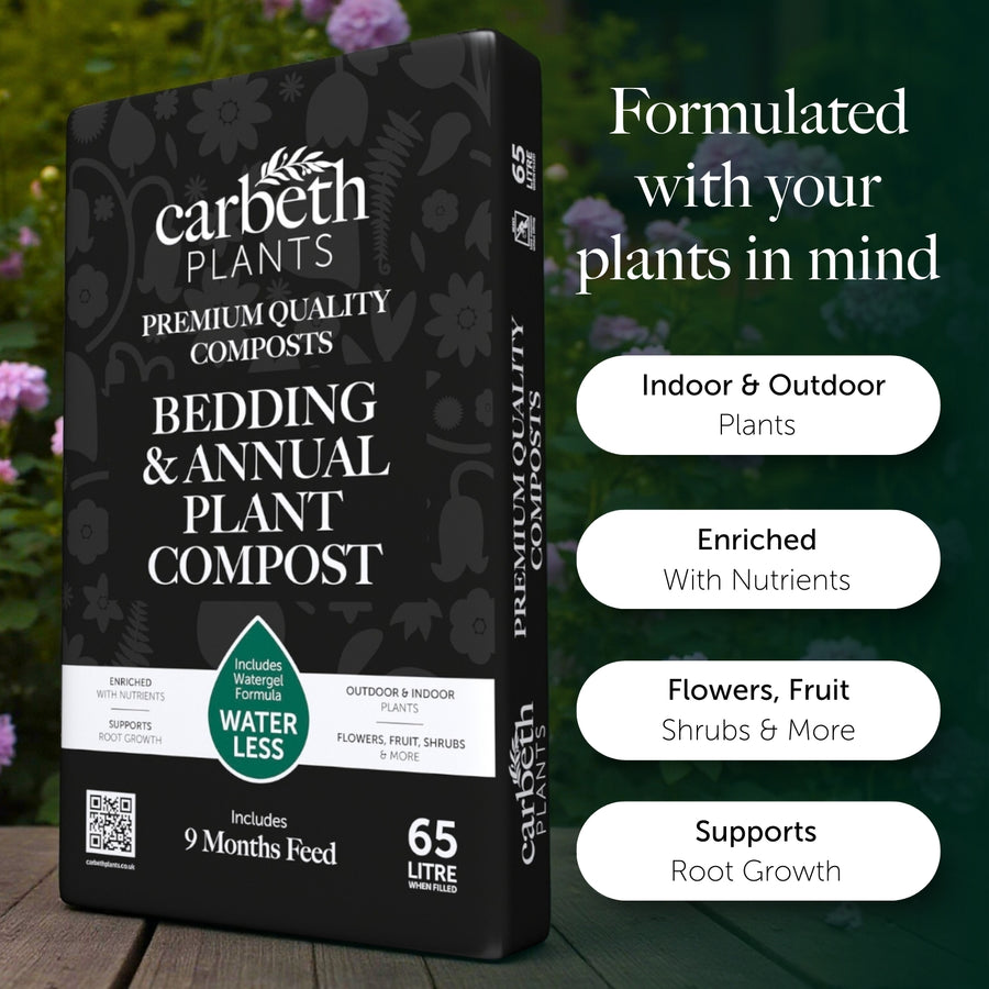 Bedding & Annual Plant Compost With 9 Months Feed - Water Less Formula  2