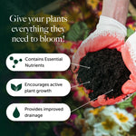 Bedding & Annual Plant Compost With 9 Months Feed - Water Less Formula  4