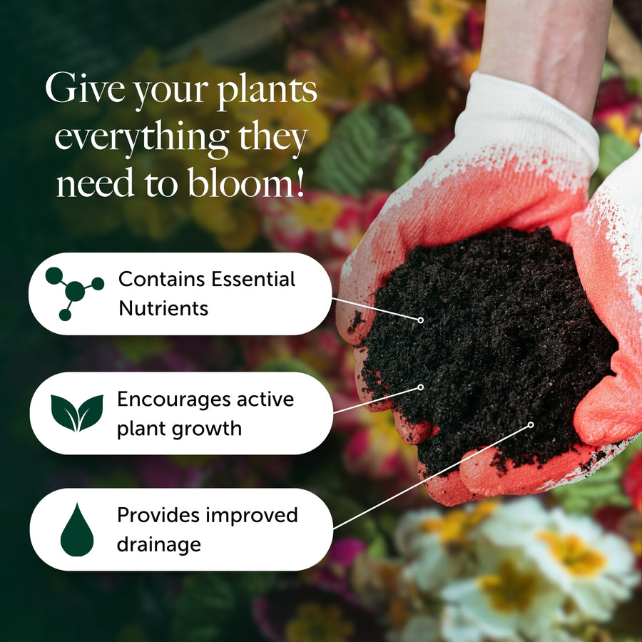 Bedding & Annual Plant Compost With 9 Months Feed - Water Less Formula  4