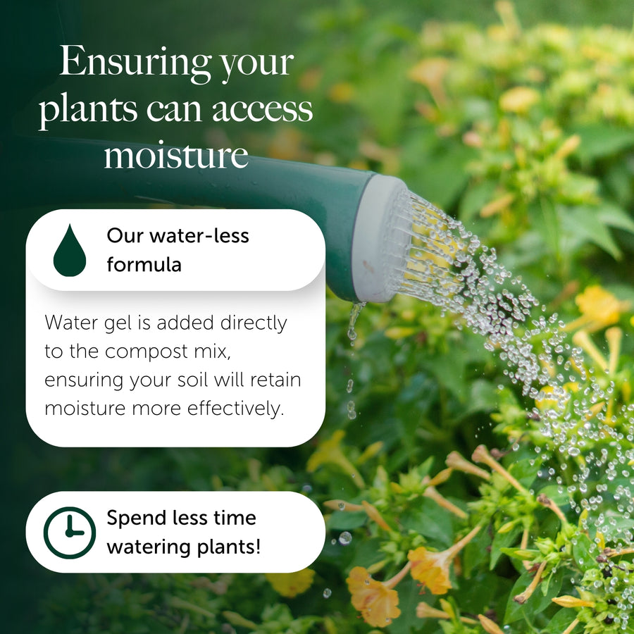 Bedding & Annual Plant Compost With 9 Months Feed - Water Less Formula  3