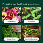 Bedding & Annual Plant Compost With 9 Months Feed - Water Less Formula  5