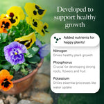 Bedding & Annual Plant Compost With 9 Months Feed - Water Less Formula  6