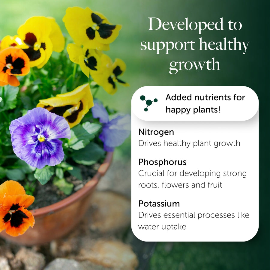 Bedding & Annual Plant Compost With 9 Months Feed - Water Less Formula  6