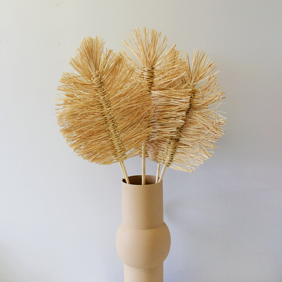 Dried Cream Boho Palms - 5 Stems bohopalm1 1