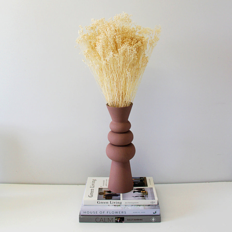 White Bleached Dried Broom Bloom Bunch broombloom1 2