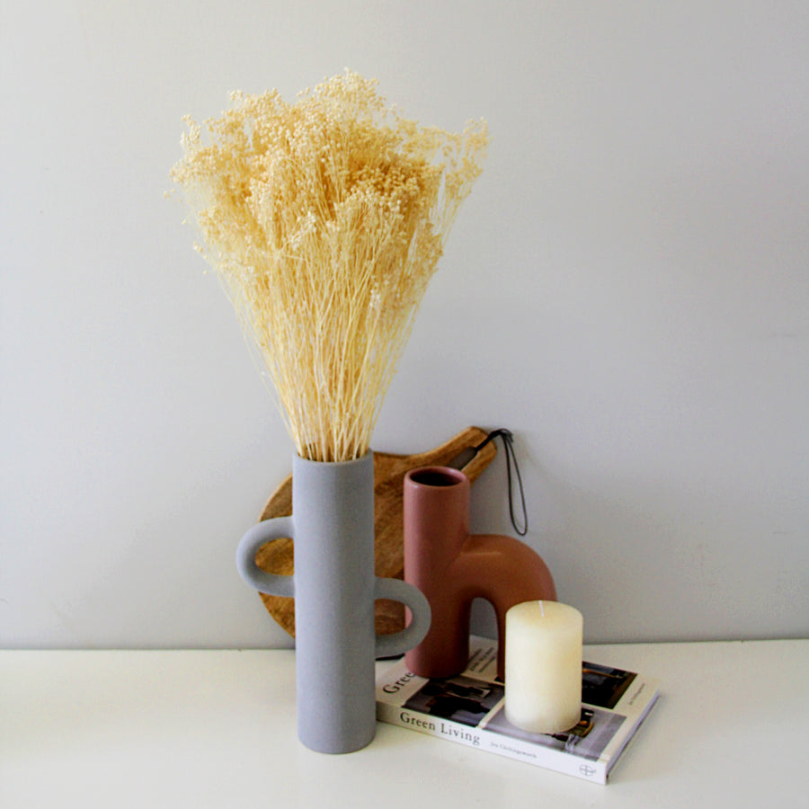 White Bleached Dried Broom Bloom Bunch broombloom4 4