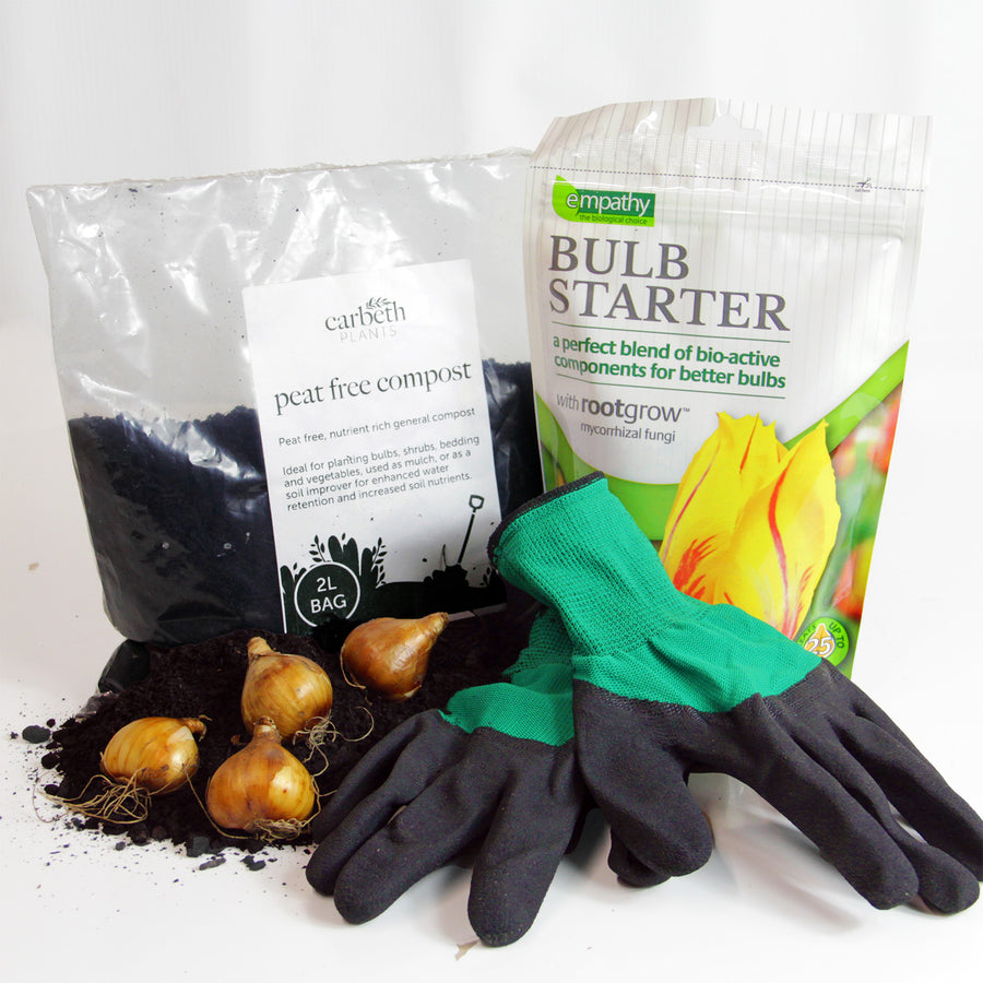 Best Start Bulb Kit - 2L Peat Free Compost, Gloves & Empathy Bulb Starter RootGrow  1