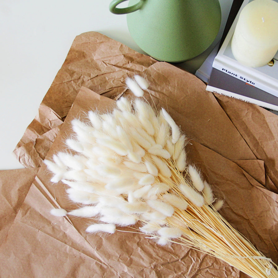 White Bleached Bunny Tails bunnytails3 6