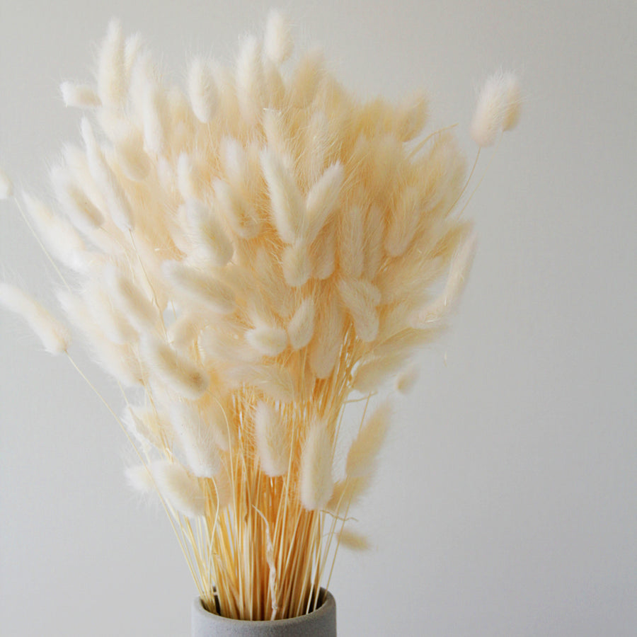 White Bleached Bunny Tails bunnytails4 5