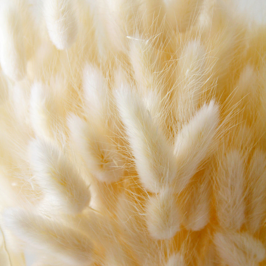 White Bleached Bunny Tails bunnytails5 3