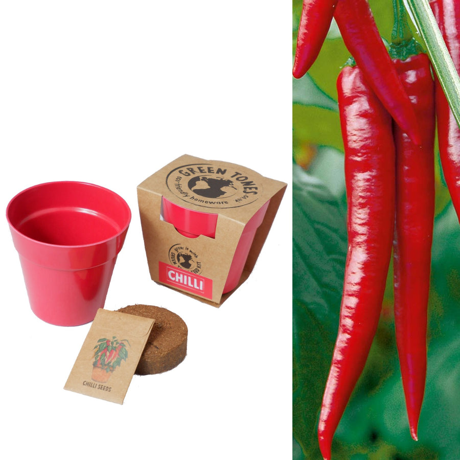 Eco-Friendly Chilli Growing Kit Eco-Friendly Chilli Growing Kit image1 1