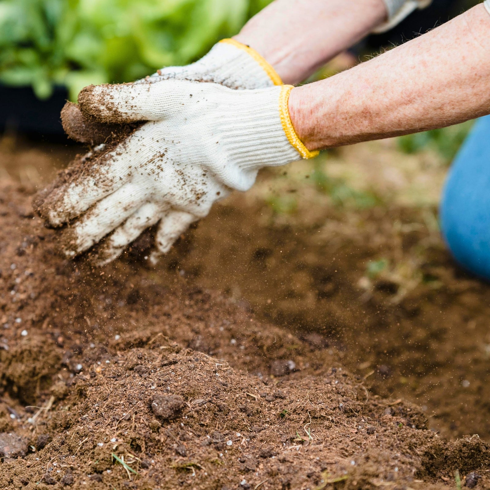tailored for your plants