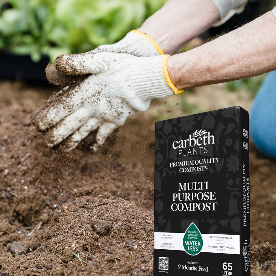 garden compost & soil