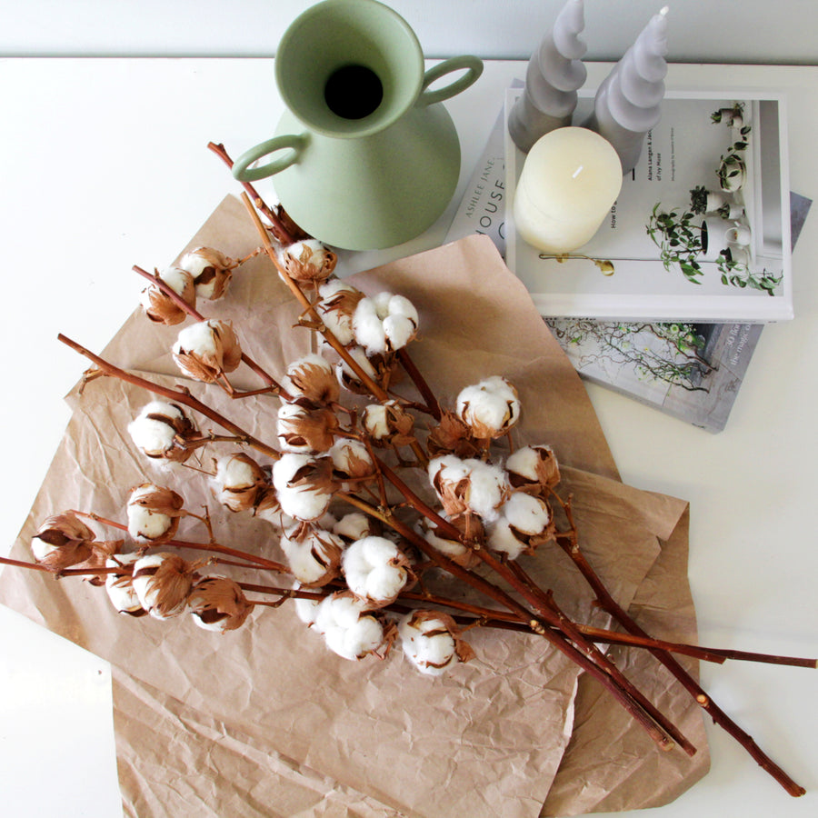 Natural Dried Cotton Stems cottonstems5 6