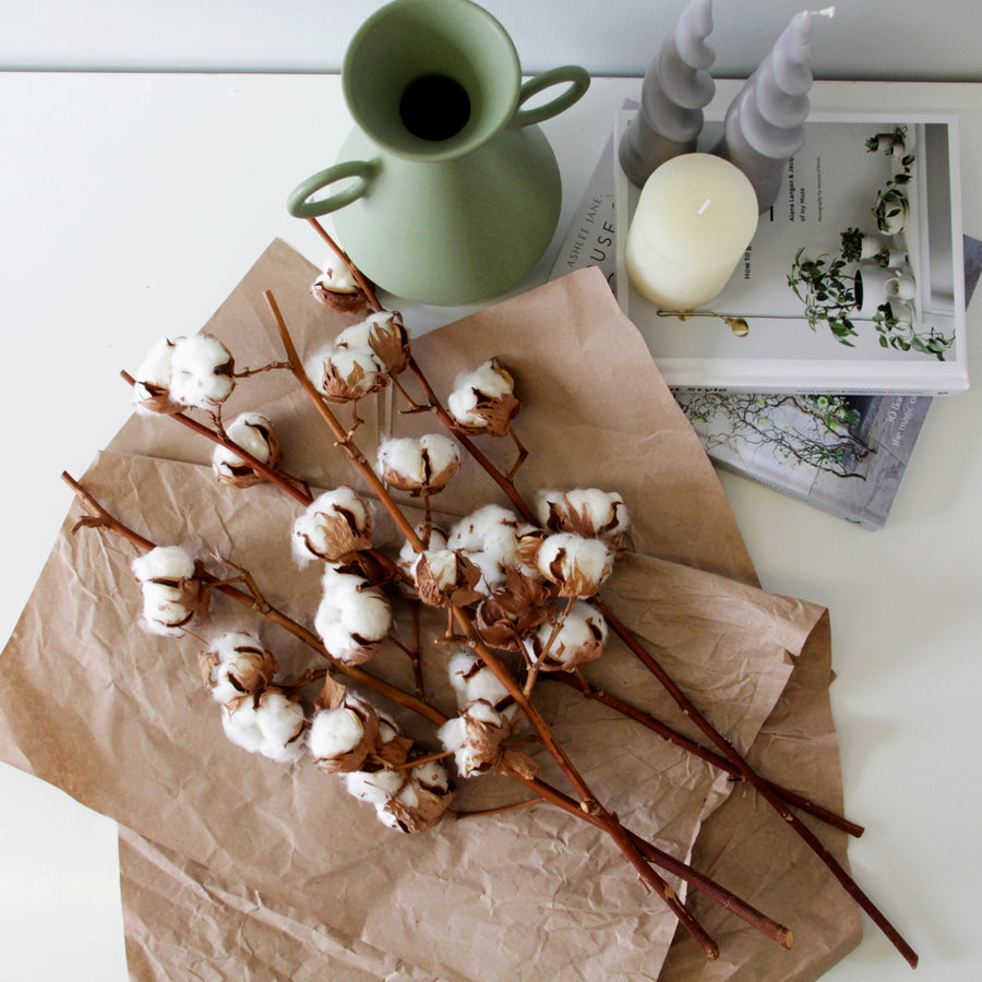 Natural Dried Cotton Stems cottonstems6 5