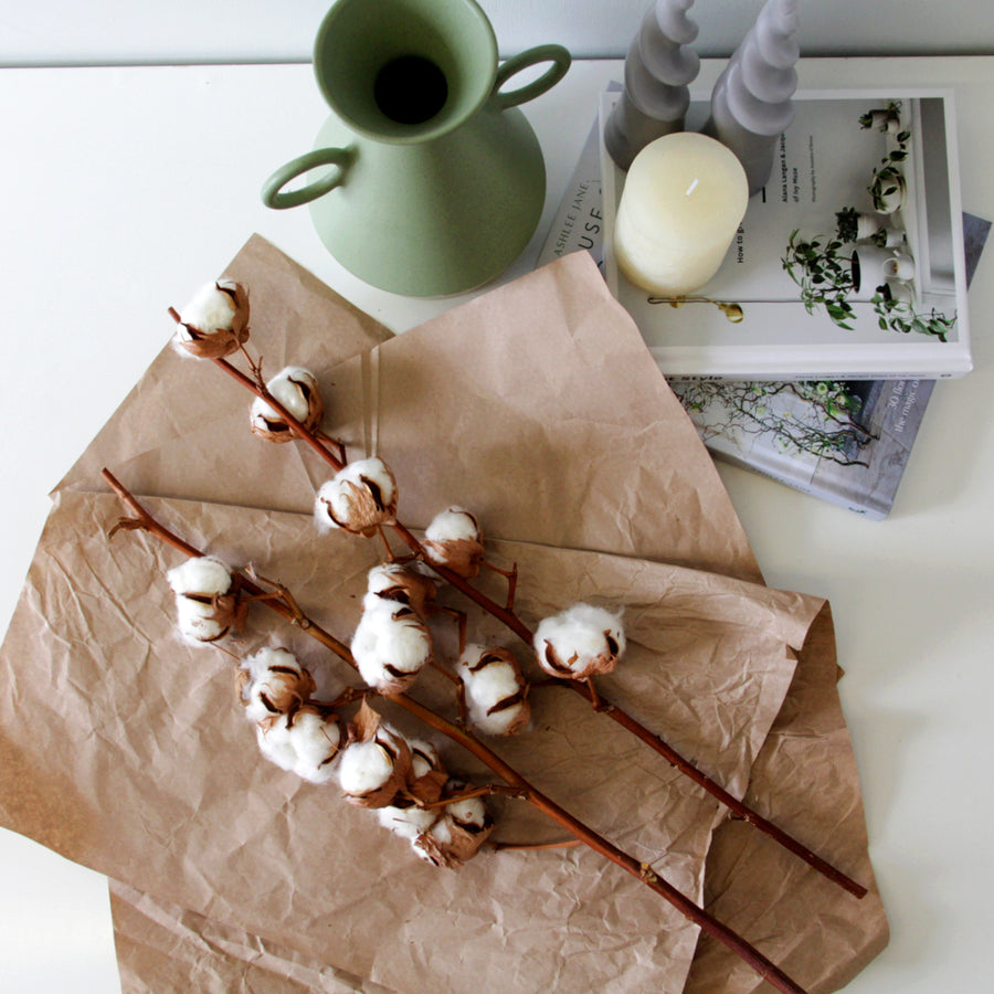 Natural Dried Cotton Stems cottonstems7 4