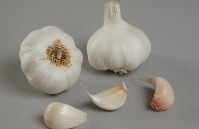 Garlic Planting Bulbs - Cristo  2