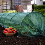Easy Net Tunnel  1