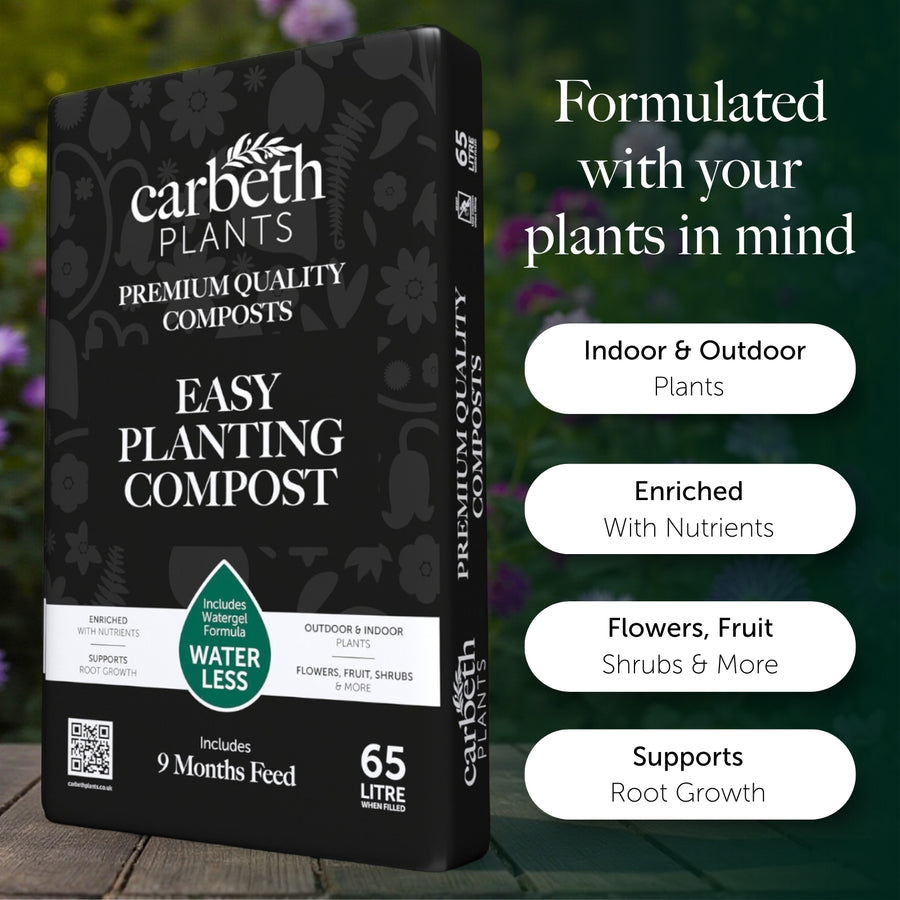 Easy Planting Compost With 9 Months Feed - Water Less Formula  2