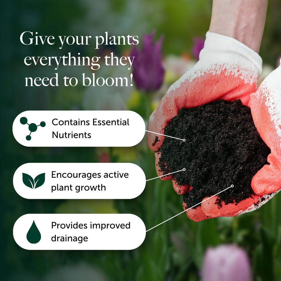 Easy Planting Compost With 9 Months Feed - Water Less Formula  3