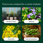 Easy Planting Compost With 9 Months Feed - Water Less Formula  4