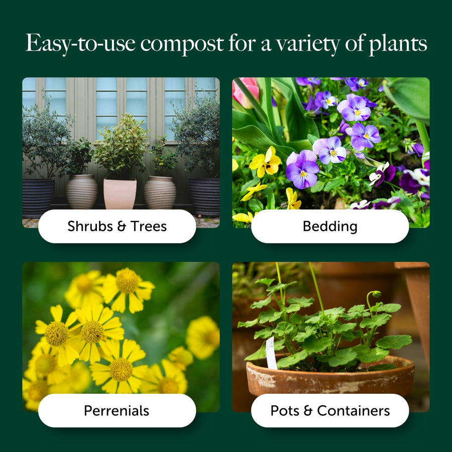 Easy Planting Compost With 9 Months Feed - Water Less Formula  4