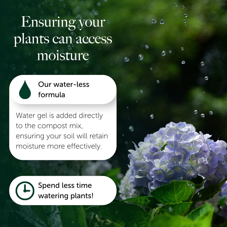 Easy Planting Compost With 9 Months Feed - Water Less Formula  5