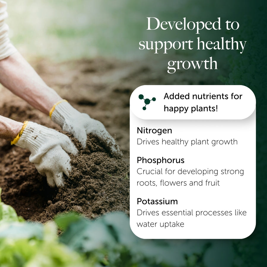 Easy Planting Compost With 9 Months Feed - Water Less Formula  6