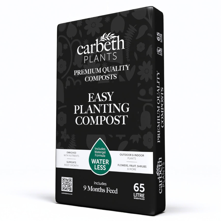 Easy Planting Compost With 9 Months Feed - Water Less Formula  1