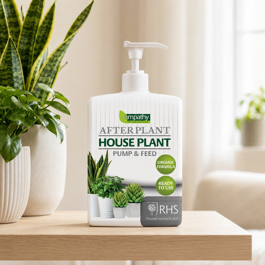 House Plant Pump & Feed  1