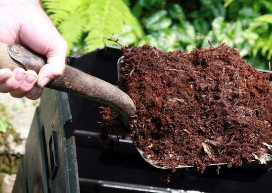 Spent Mushroom Compost - Perfect For Bare Root garden-mulch 4