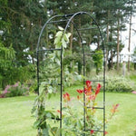 Garden Arch  1