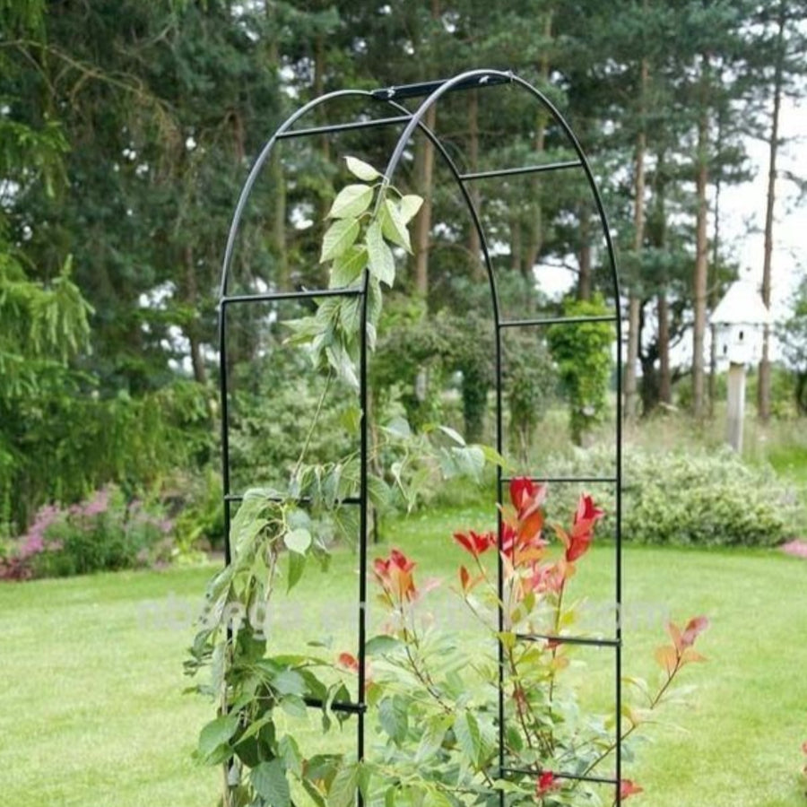 Garden Arch  1