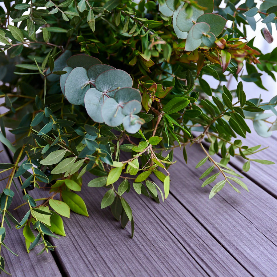 Green Gardenia Soy Candle Assortment of fresh eucalyptus stems with rounded silver-blue leaves and long green foliage laid on a wooden surface. 3