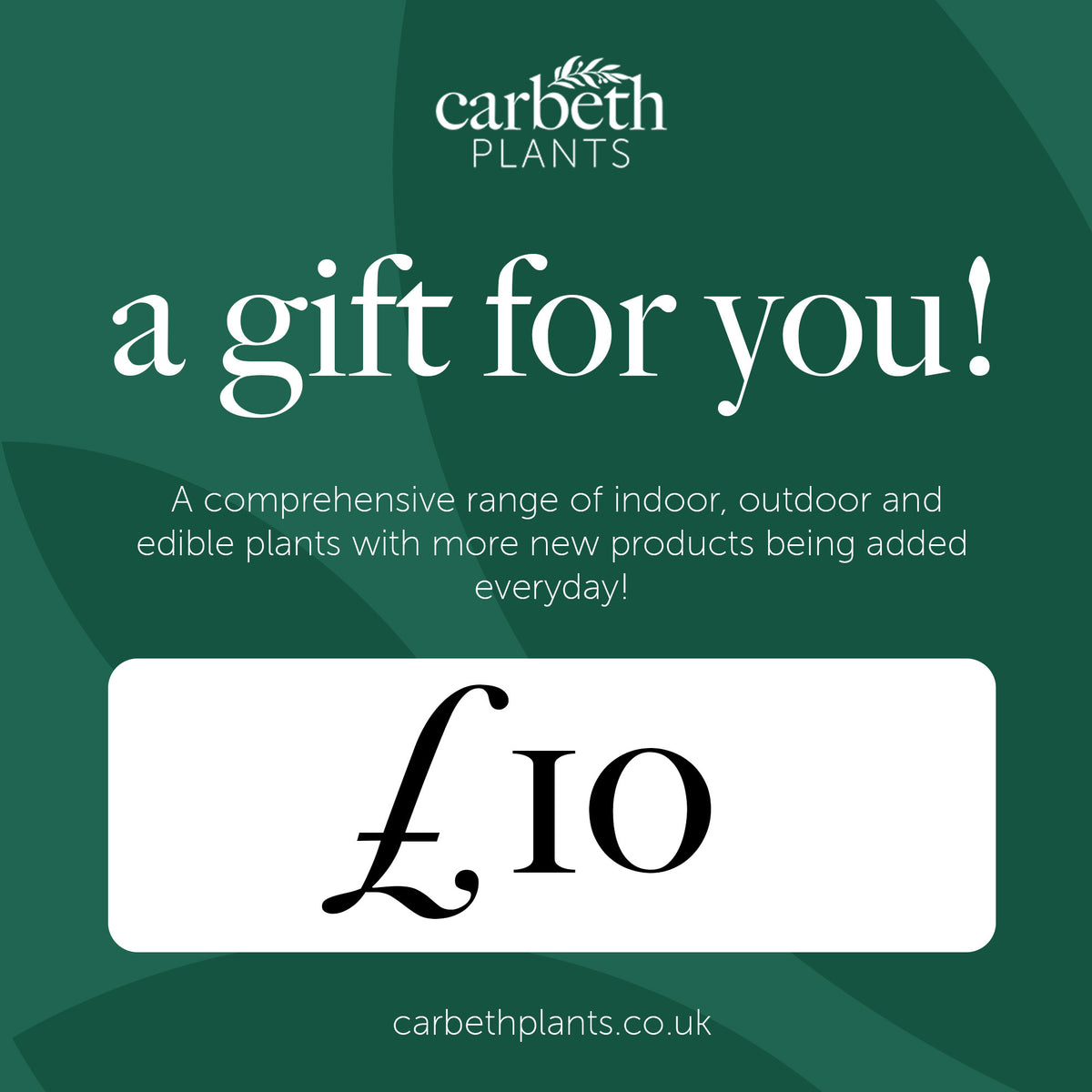 Carbeth Plants Gift Card  1