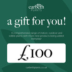 Carbeth Plants Gift Card  6