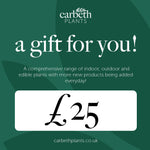Carbeth Plants Gift Card  3