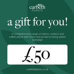 Carbeth Plants Gift Card  4