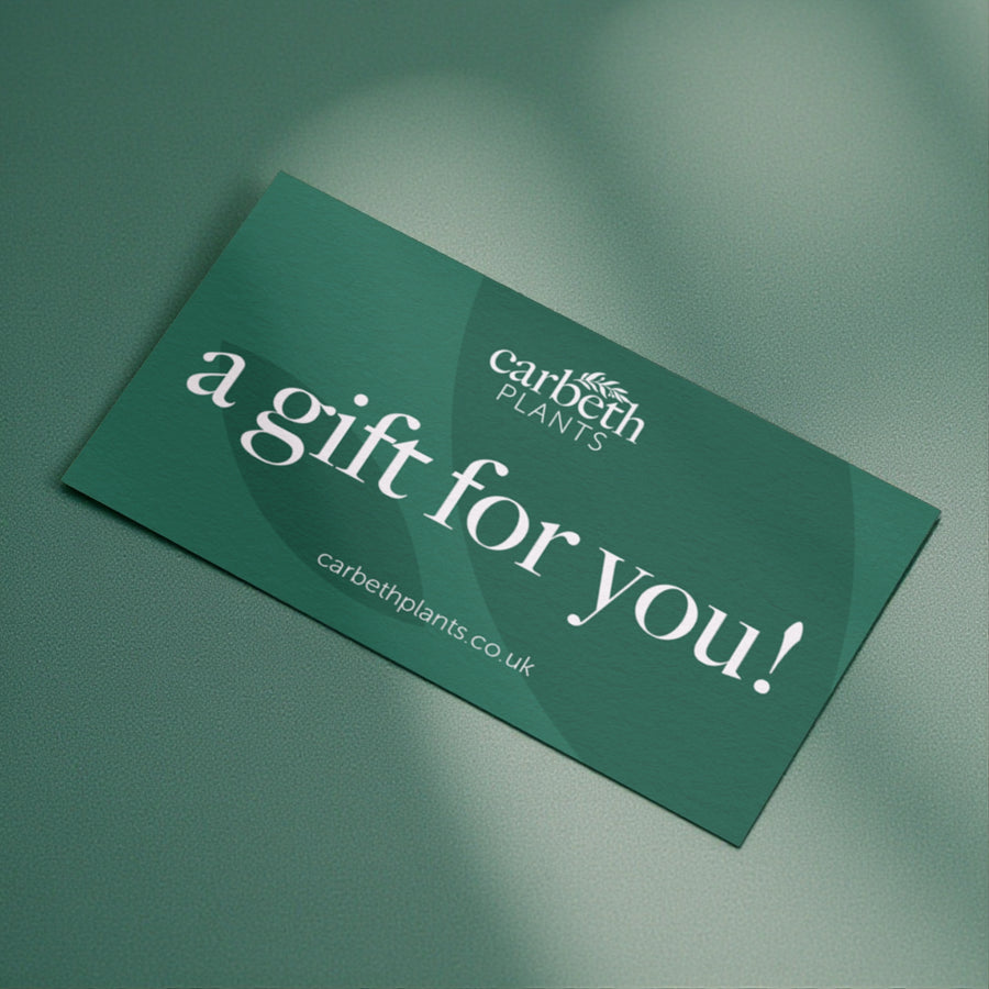 Carbeth Plants Gift Card  1