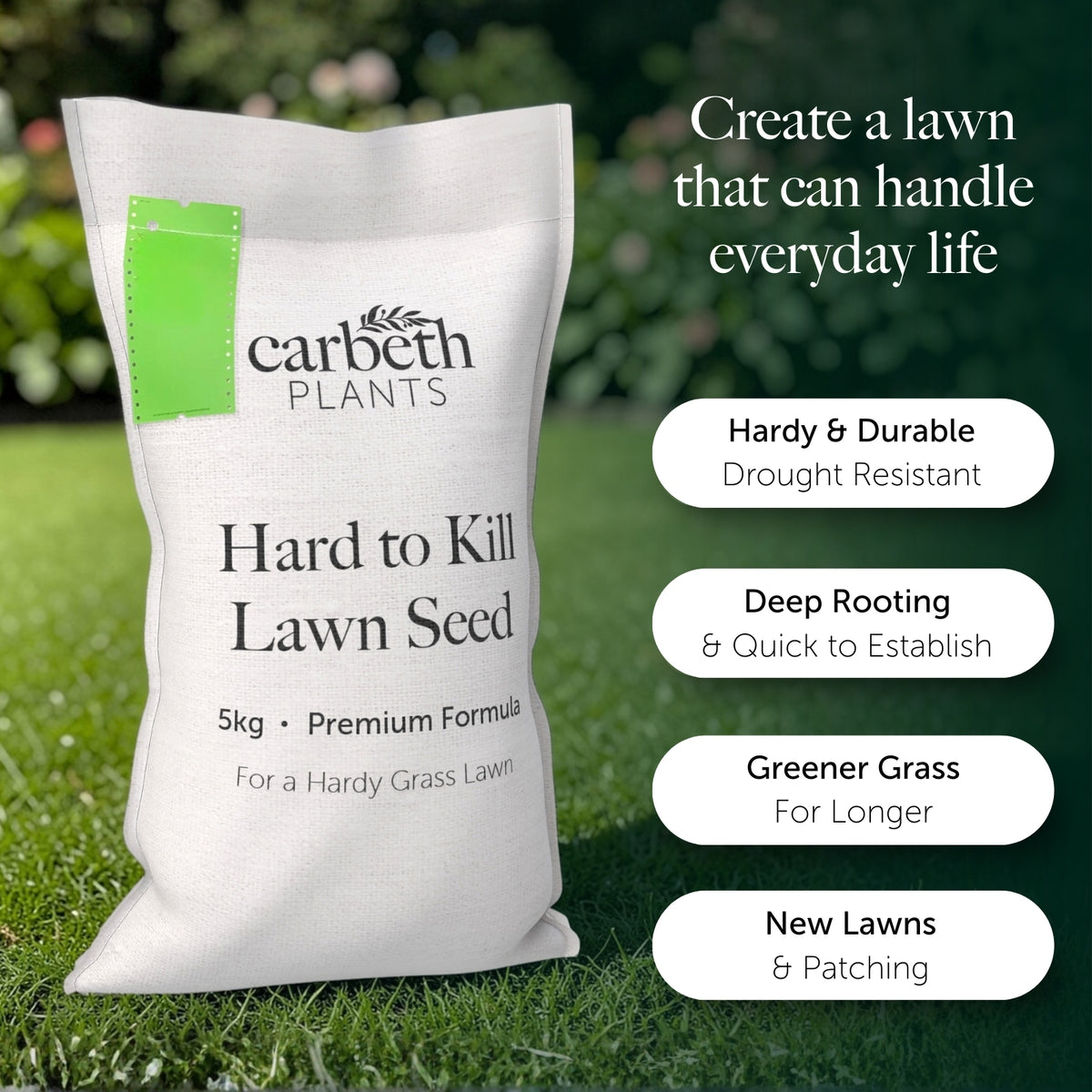Carbeth Hard To Kill Lawn Seeds  2
