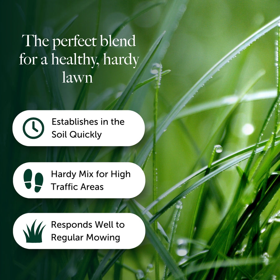 Hard To Kill Grass & Lawn Seed  4