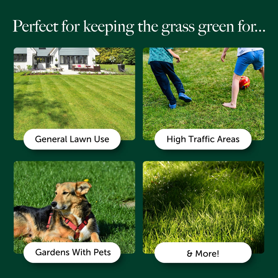 Hard To Kill Grass & Lawn Seed  7