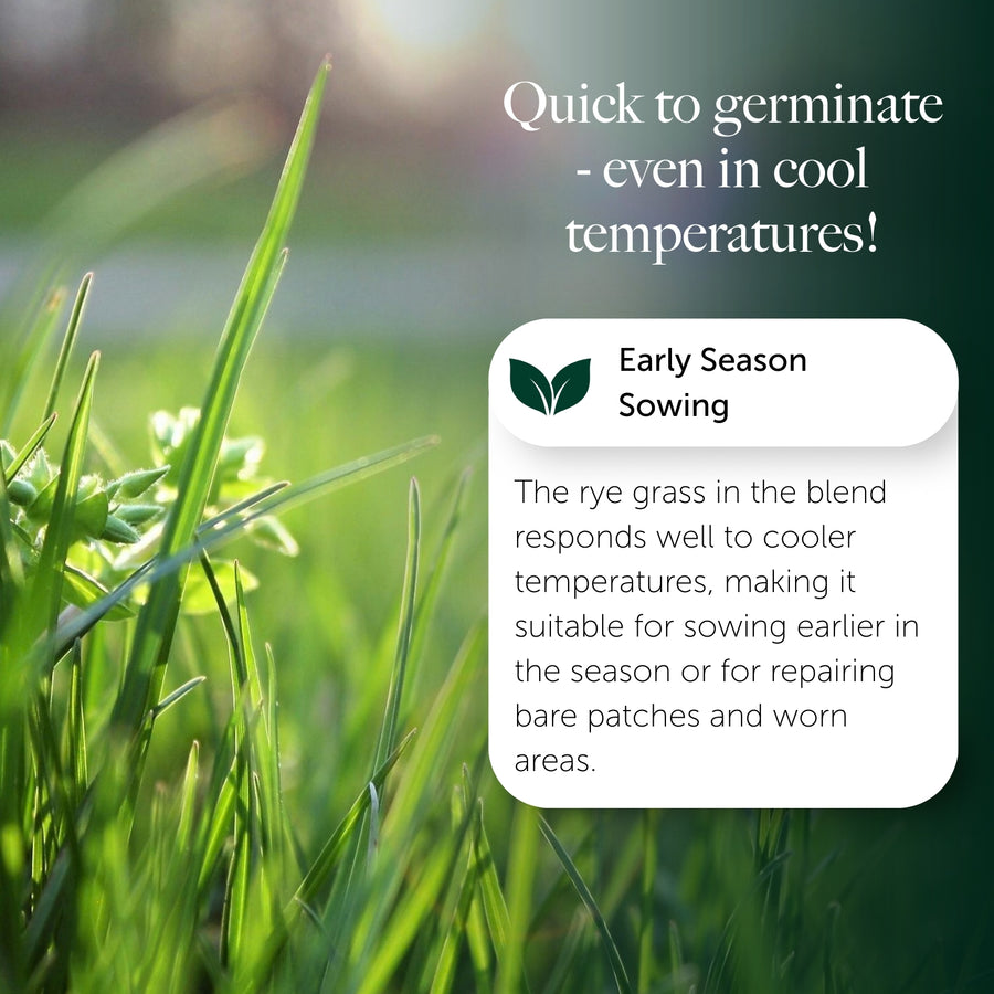 Hard To Kill Grass & Lawn Seed  9