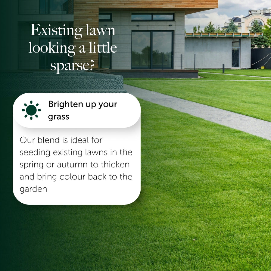 Hard To Kill Grass & Lawn Seed  10