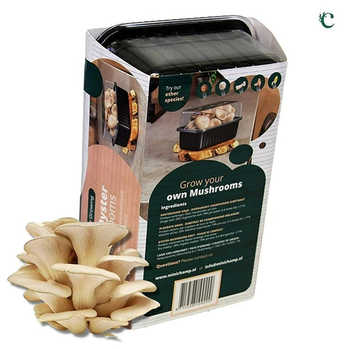 Mushroom Growing Kit Grey Oyster grey oyster product back 2