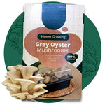 Mushroom Growing Kit Grey Oyster  1