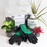 Best Start Indoor Plant Care Bundle - 2L Houseplant Compost, Gloves & Empathy After Plant Pump & Feed houseplant 1