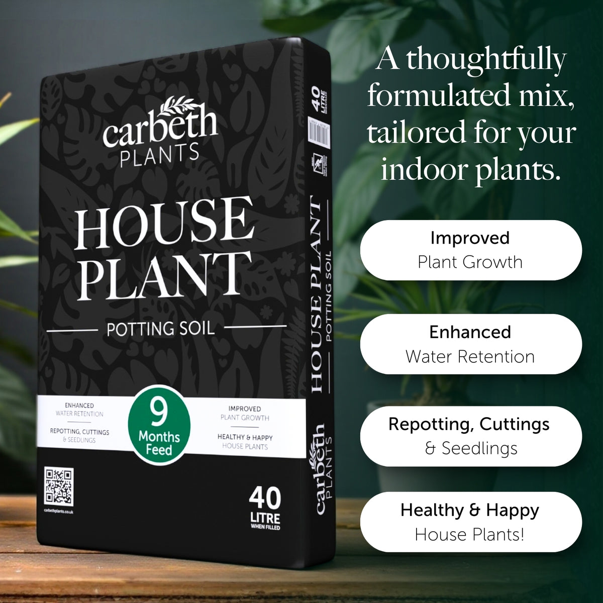 House Plant Compost With 9 Months Feed  2