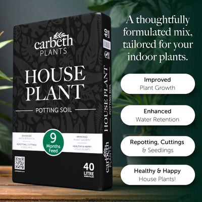House Plant Compost With 9 Months Feed
