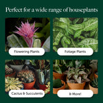 House Plant Compost With 9 Months Feed  4